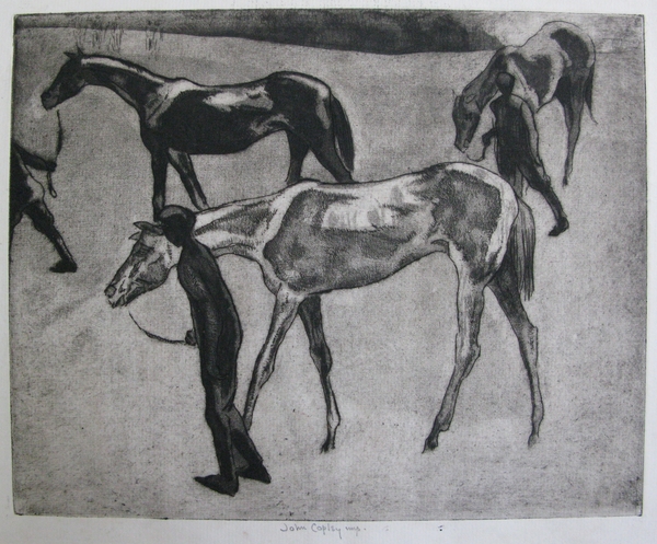 Horses after a race